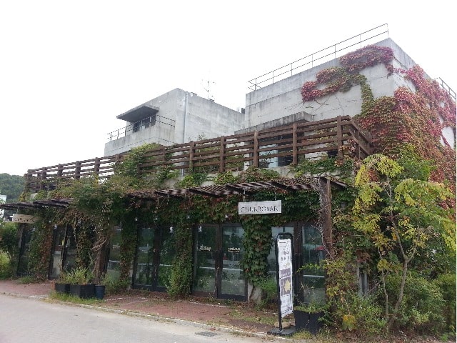 秋のカフェ