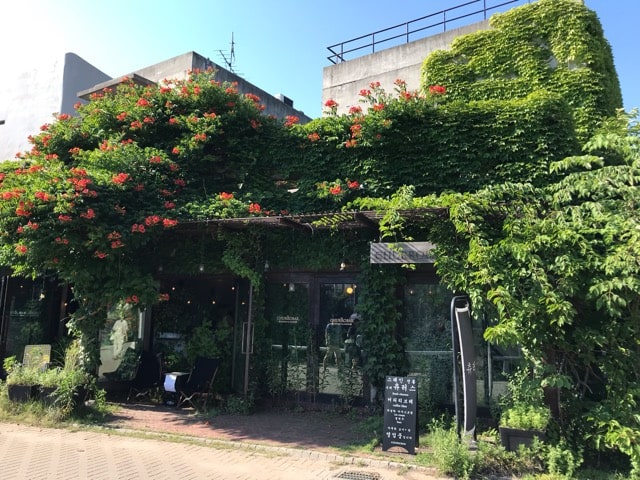 初夏のカフェ