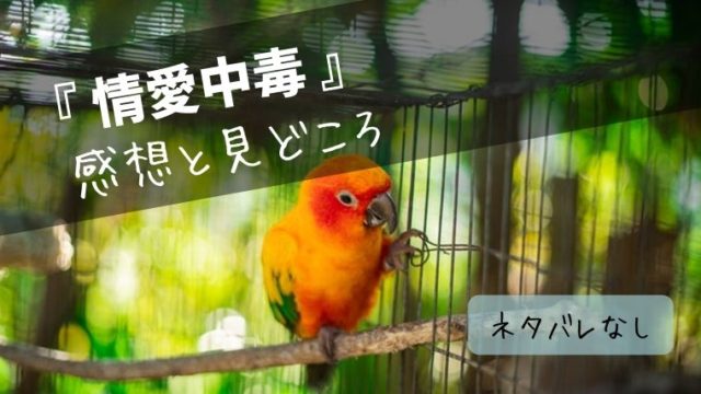 映画『情愛中毒』感想:体当たり演技でもソン・スンホンの印象は変わらず